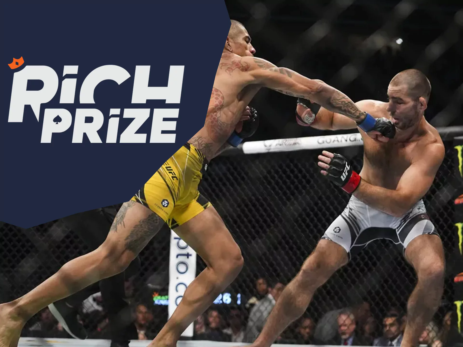 Bet on most brutal ufc fighter at Richprize.